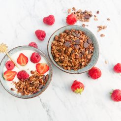 Chocolade granola