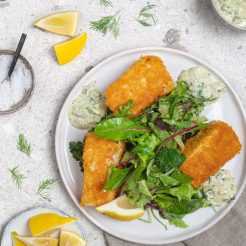 Fish Sticks Blog-2752