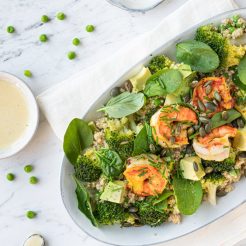 Quinoa scampi mosterd - blog-3314