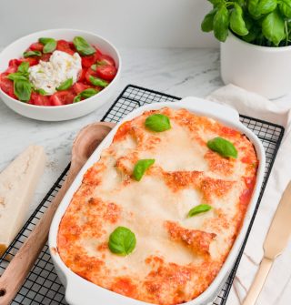 vislasagne-01